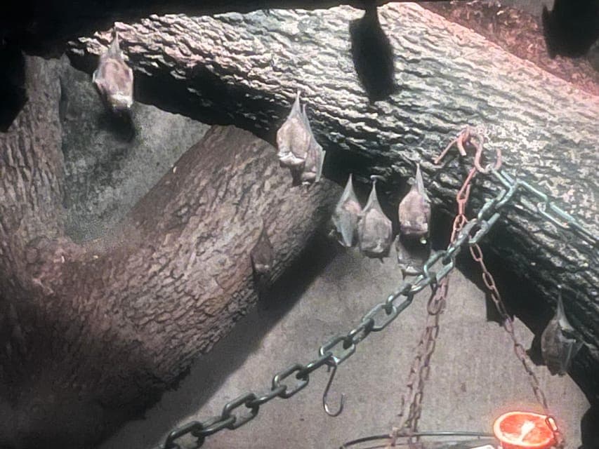 undefined Gallery Image 2