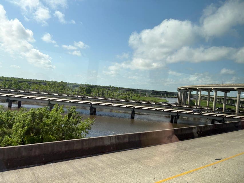 undefined Gallery Image 4