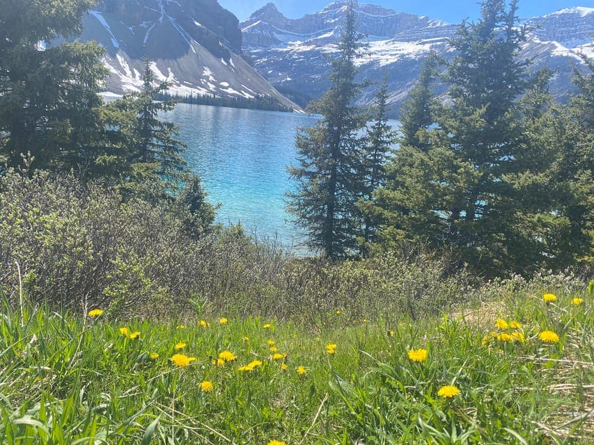 undefined Gallery Image 3