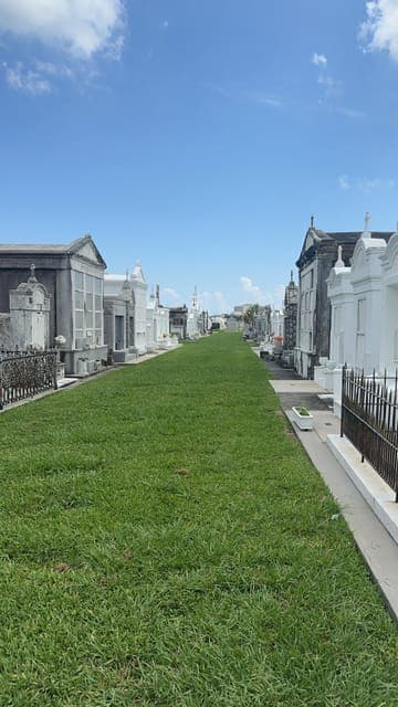 undefined Gallery Image 4