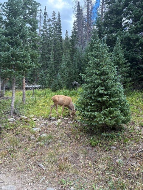 undefined Gallery Image 1