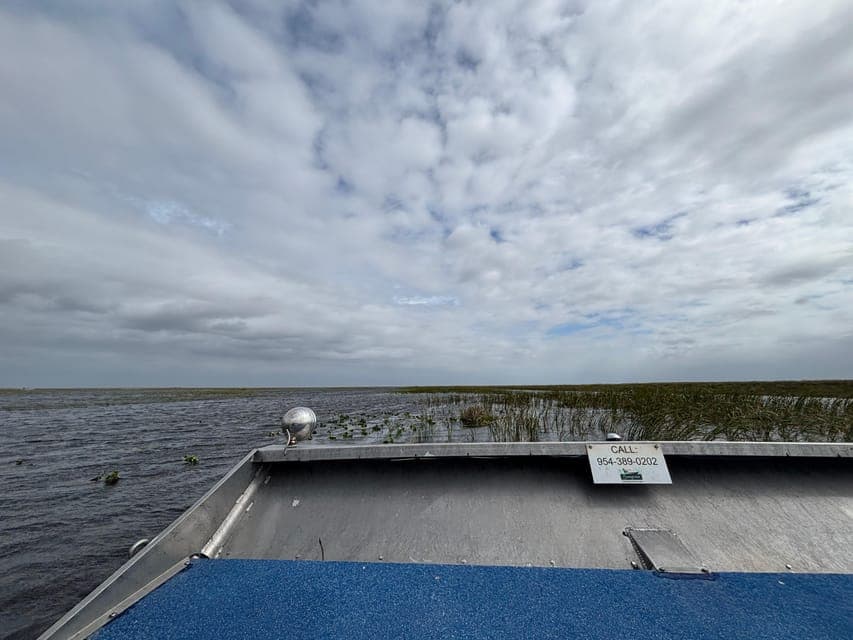 undefined Gallery Image 3