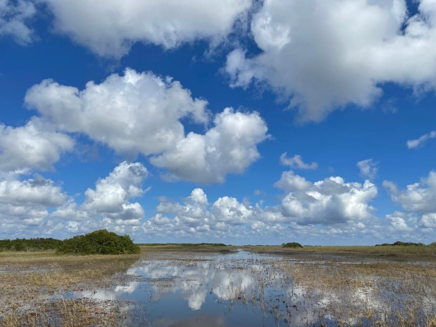 undefined Gallery Image 4