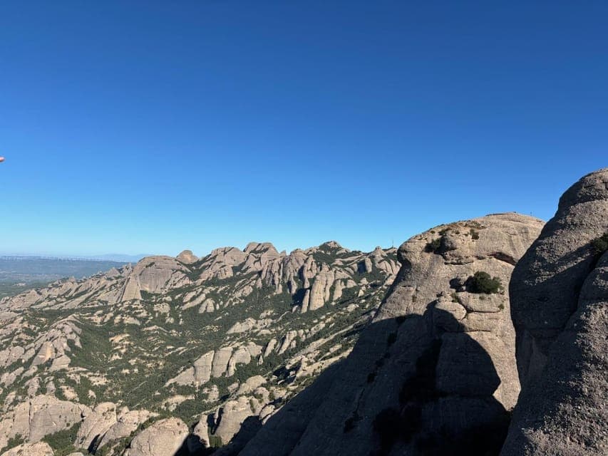 undefined Gallery Image 4