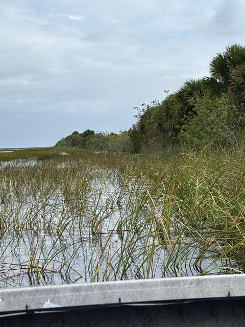 undefined Gallery Image 1