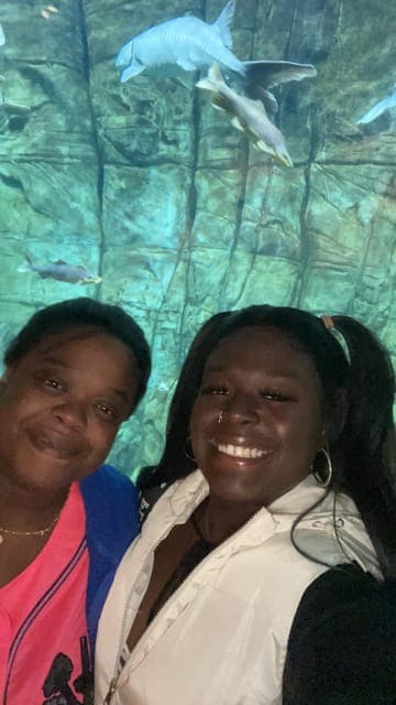 undefined Gallery Image 3