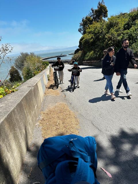 undefined Gallery Image 3