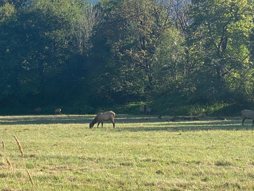 undefined Gallery Image 4