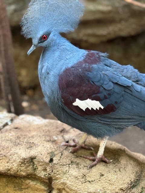 undefined Gallery Image 4