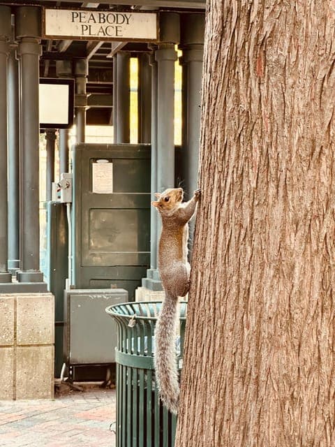 undefined Gallery Image 3