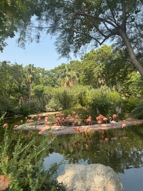 undefined Gallery Image 4