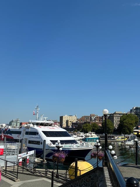 undefined Gallery Image 1