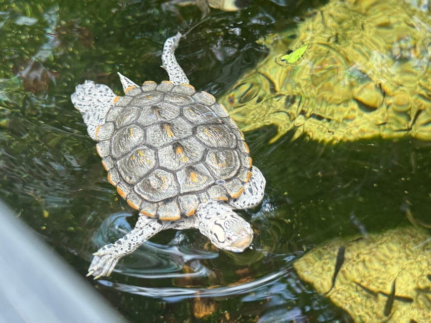 undefined Gallery Image 3