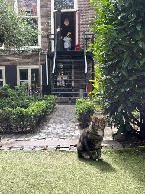 undefined Gallery Image 3