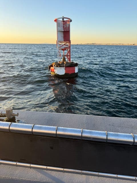 undefined Gallery Image 1