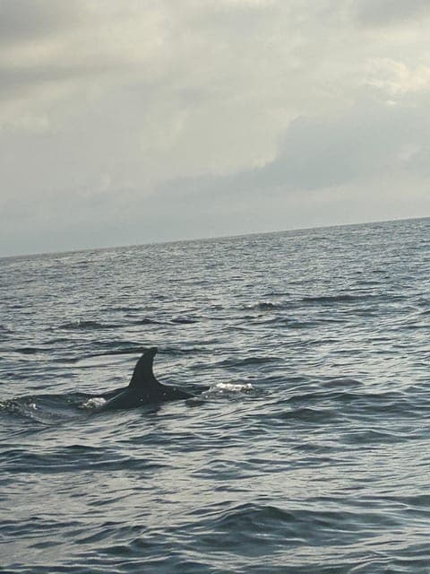 undefined Gallery Image 2