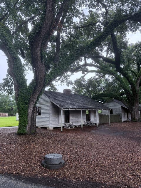 undefined Gallery Image 3