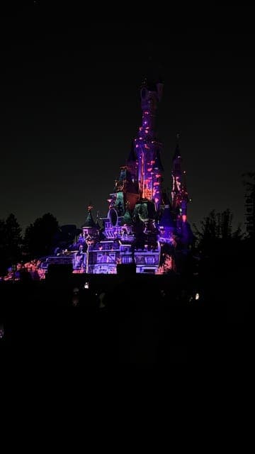 undefined Gallery Image 4