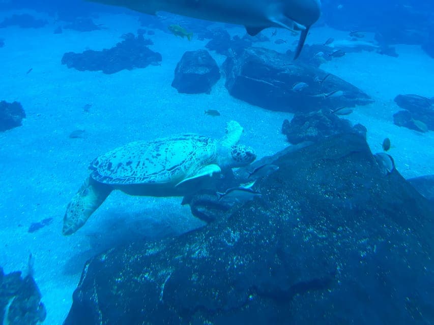 undefined Gallery Image 3