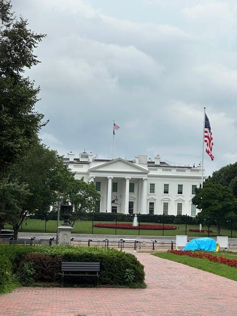 undefined Gallery Image 4