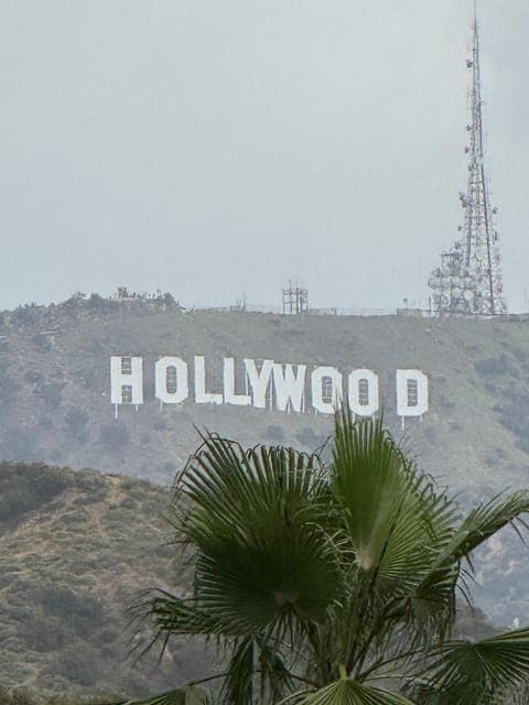 undefined Gallery Image 1