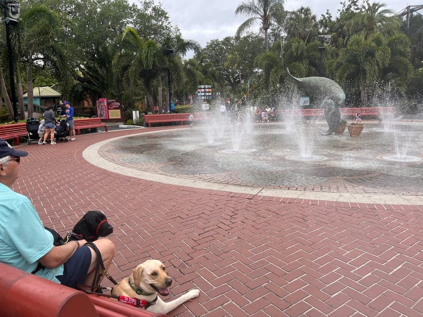 undefined Gallery Image 2