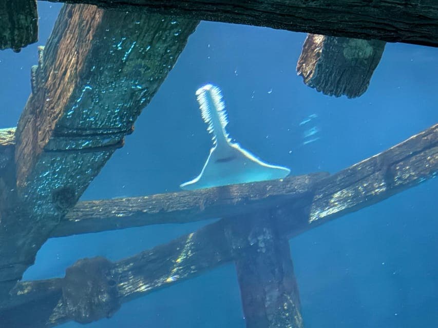 undefined Gallery Image 4