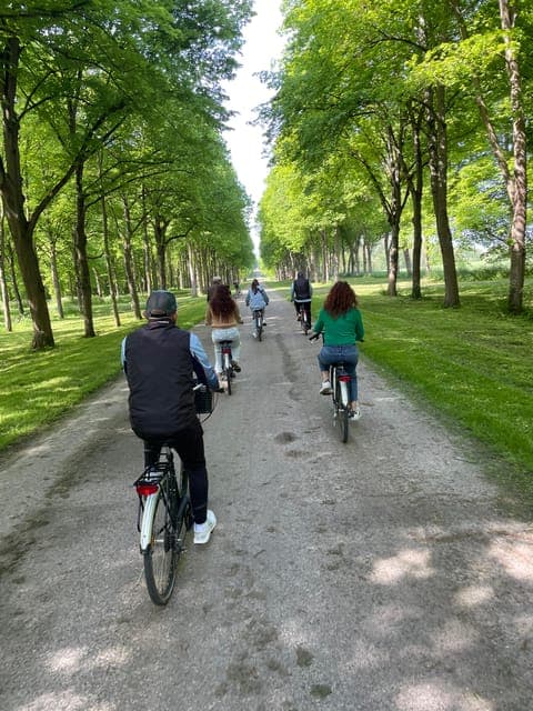 undefined Gallery Image 4