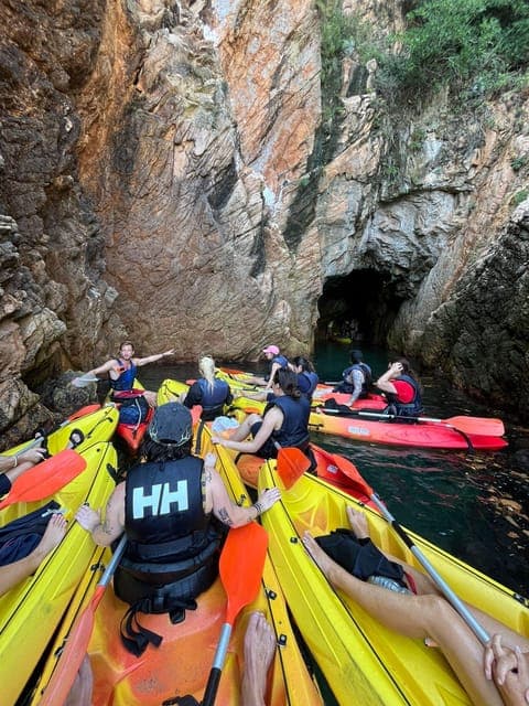 undefined Gallery Image 3