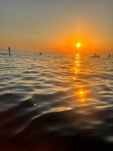 undefined Gallery Image 4