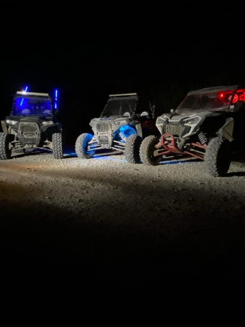 undefined Gallery Image 3