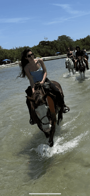 undefined Gallery Image 4