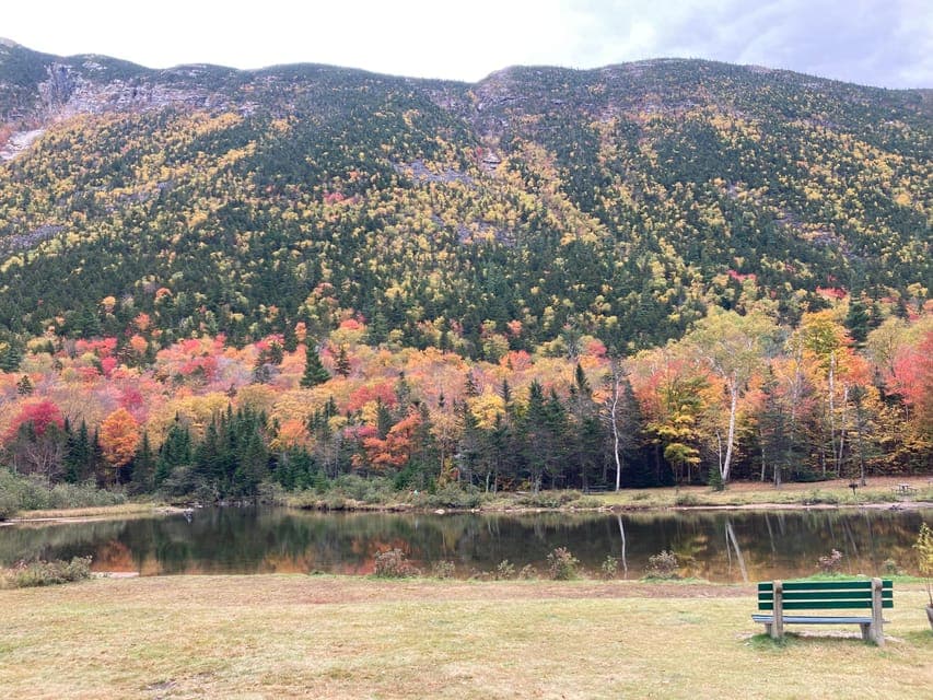 undefined Gallery Image 3