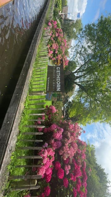 undefined Gallery Image 3