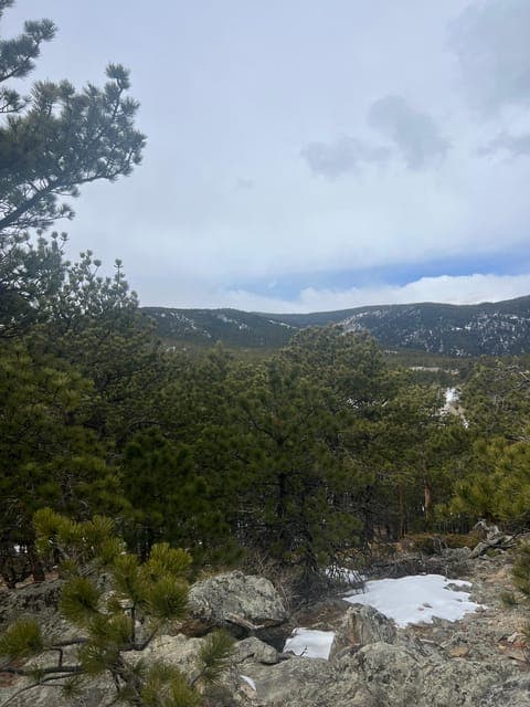 undefined Gallery Image 1