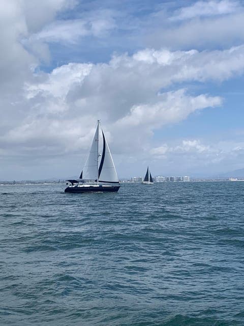 undefined Gallery Image 3