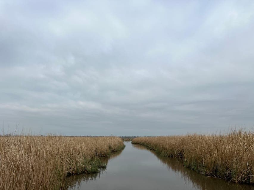 undefined Gallery Image 3