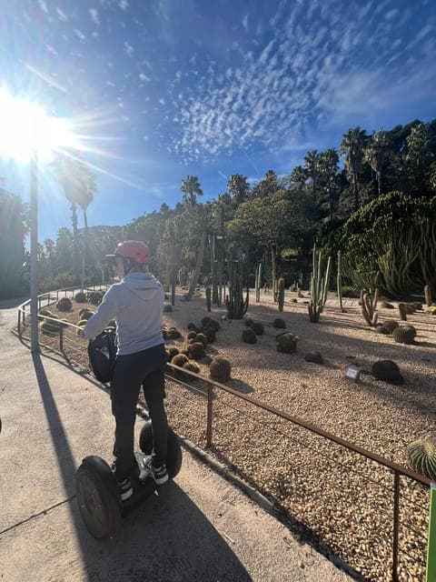 undefined Gallery Image 3