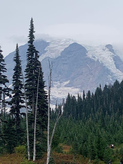 undefined Gallery Image 2