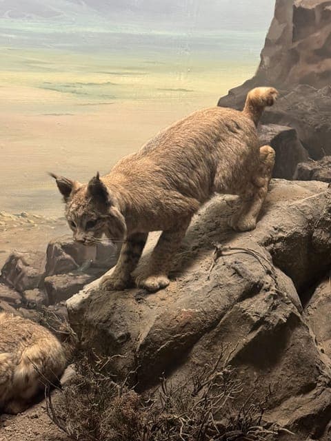 undefined Gallery Image 4