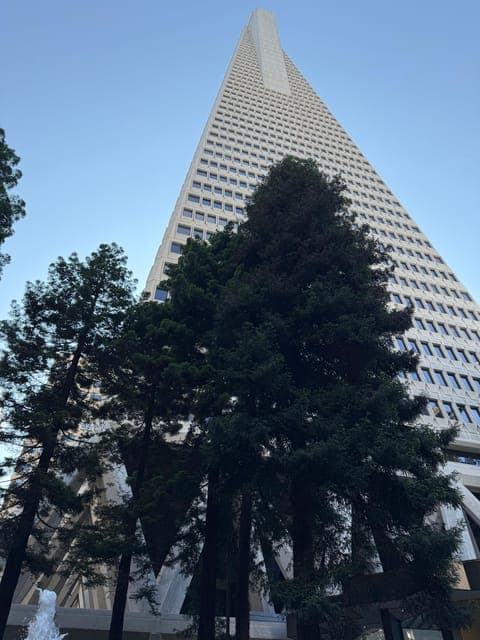 undefined Gallery Image 3