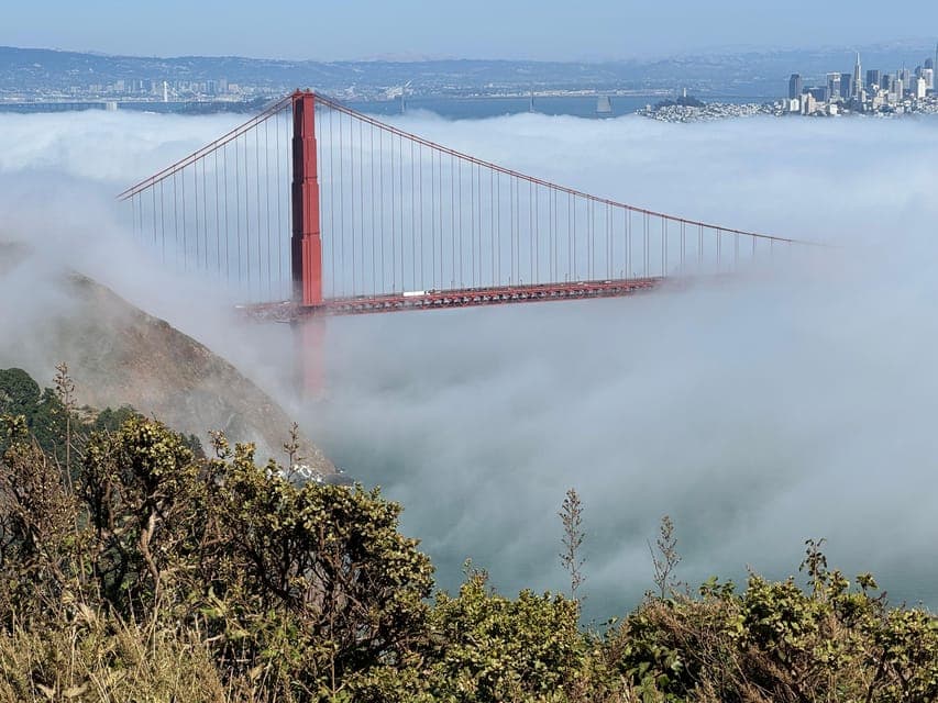 undefined Gallery Image 1