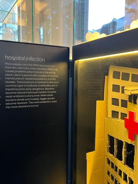 undefined Gallery Image 4