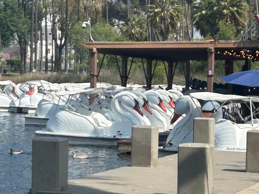 undefined Gallery Image 3