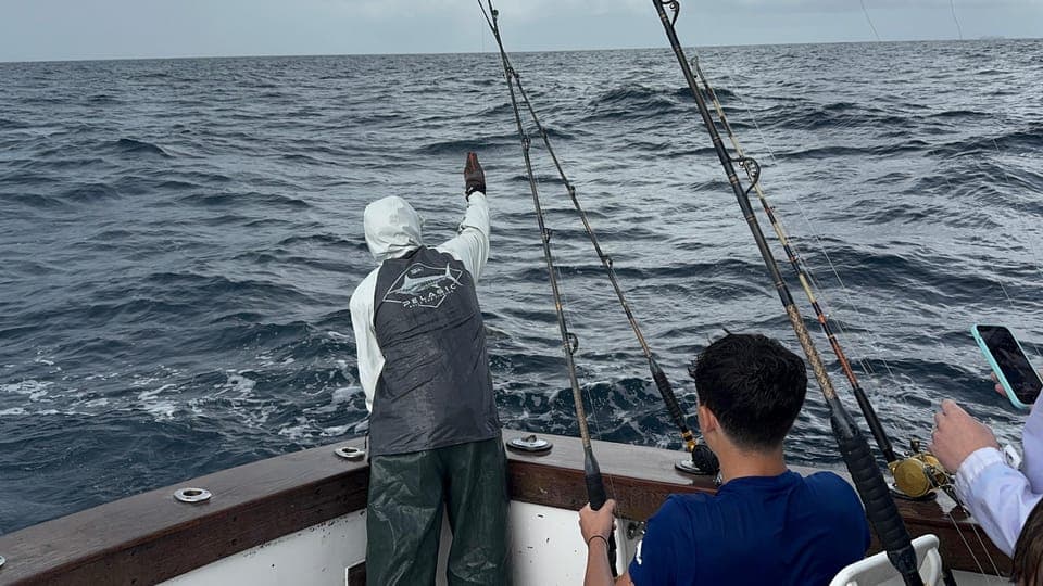 undefined Gallery Image 4