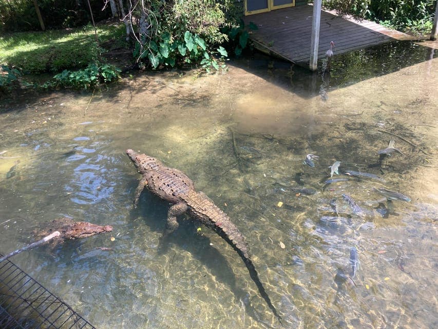 undefined Gallery Image 2