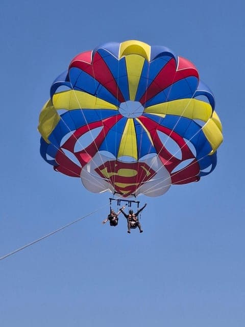 undefined Gallery Image 4