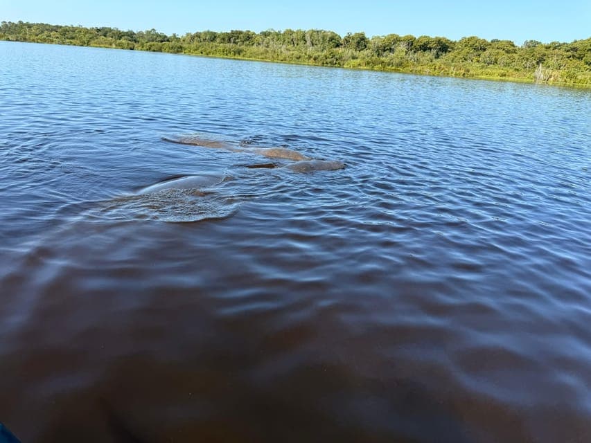 undefined Gallery Image 4