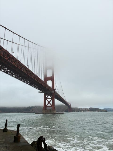 undefined Gallery Image 2