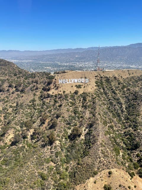 undefined Gallery Image 2